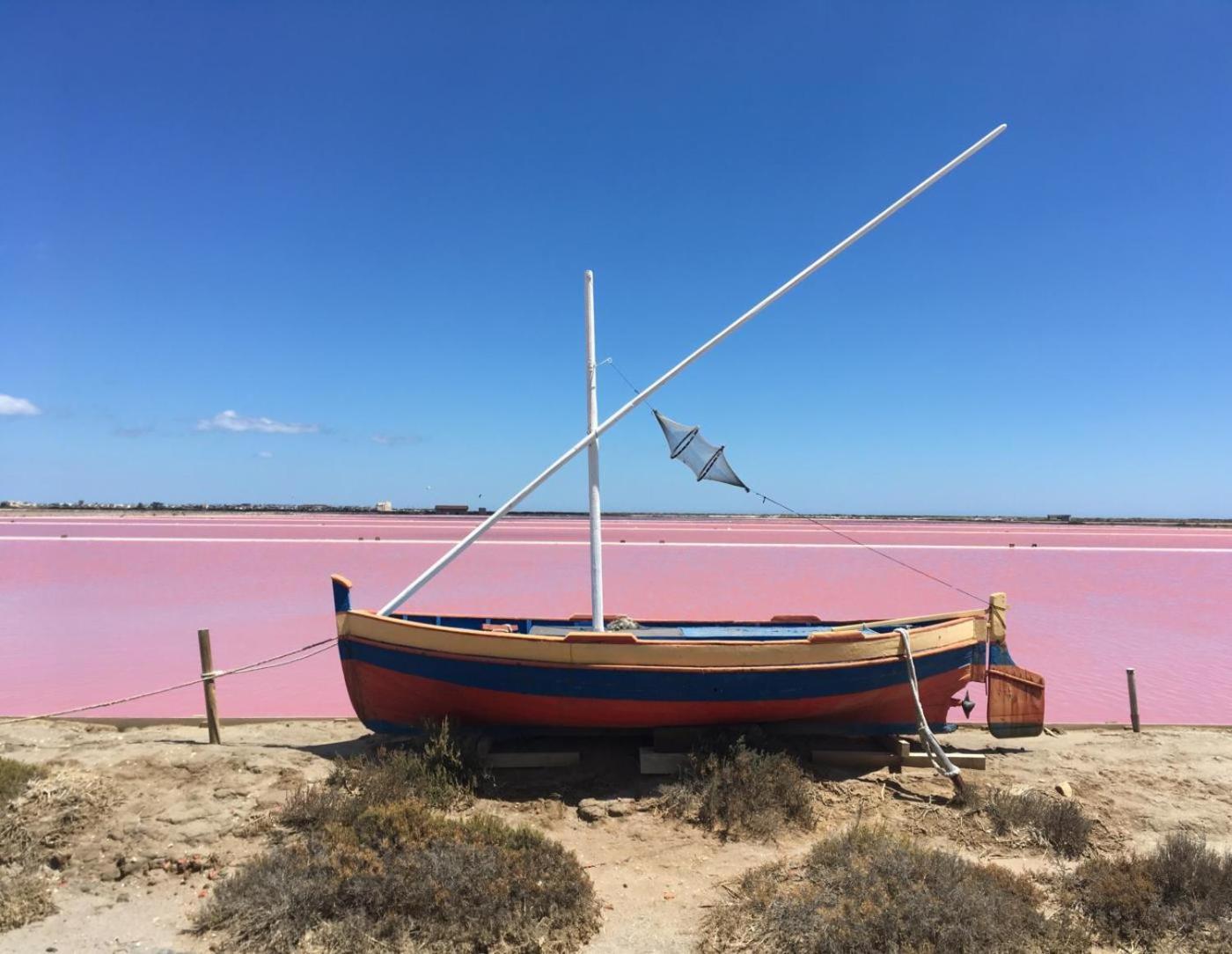Maison De Vacances 8 A 15 Pers A Proximite Du Canal Du Midi Sallèles-dʼAude Kültér fotó